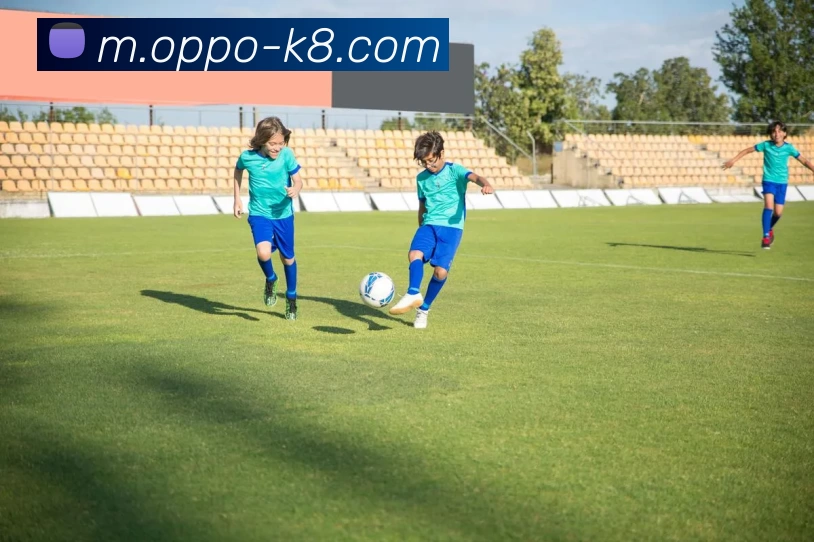 凯发娱乐平台生态图